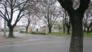 Отпушиха движението на Кръговото