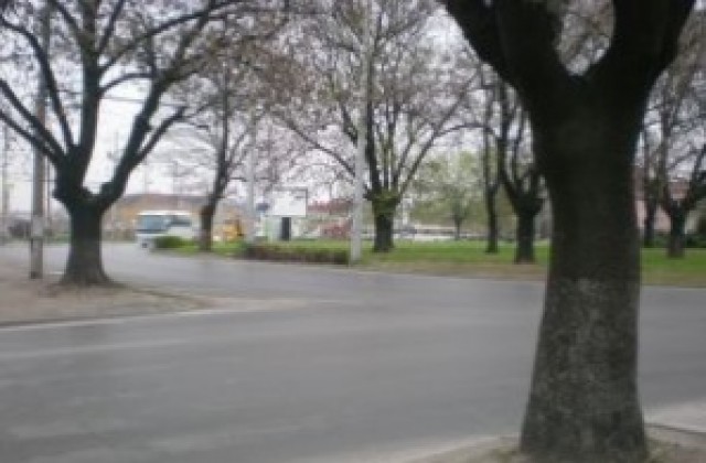Отпушиха движението на Кръговото