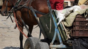 Местят роми от гетото Баталова Воденица в бивши казарми
