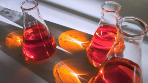 Хормон решава съдбата на цели държави