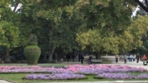 Ученици и студенти в спортна надпревара в парка