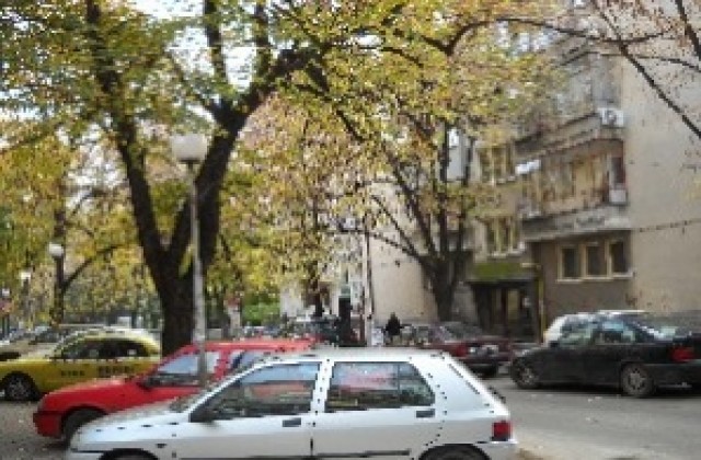 Забрана за бране на липов цвят