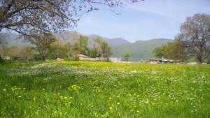 Пръскат срещу кърлежи в община Казанлък