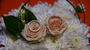 Дарик и Фокус се сливат в едно