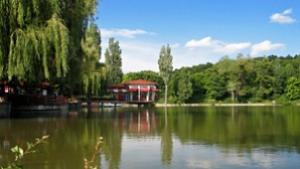 82годишна жена се удави в Търговище