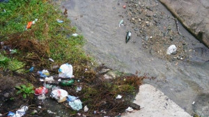 Започна почистването на столичните реки