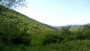 Прокуратурата проверява заменки на земи в Шуменско