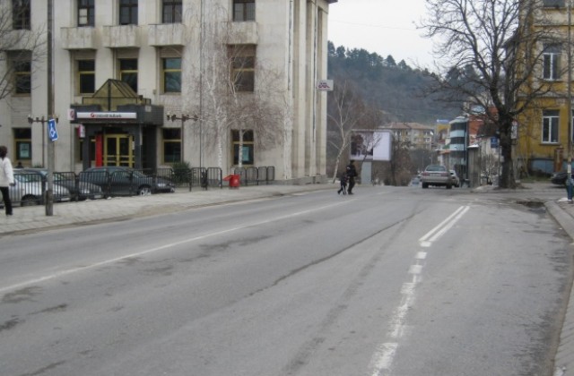 Забрана за бране на липов цвят в Дупница