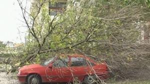 Бурен вятър причини щети в Милковица