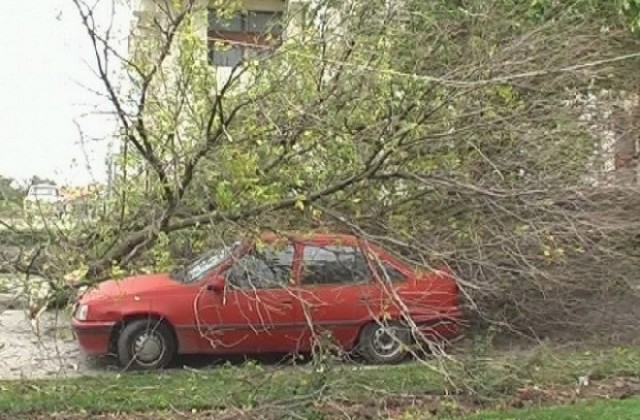 Бурен вятър причини щети в Милковица