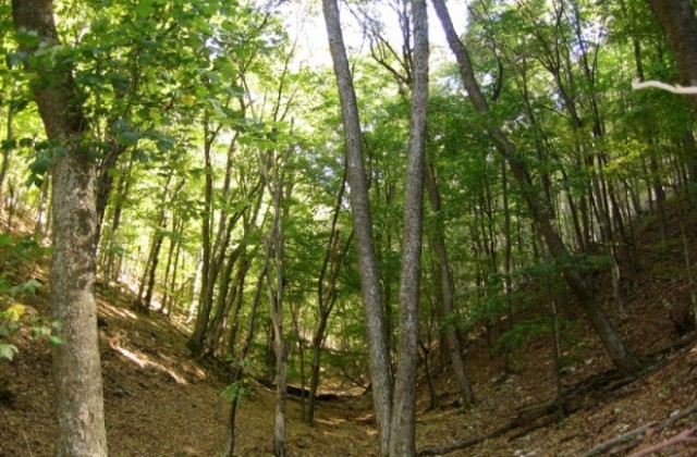 Защитават защитените зони във Варненско, ама не докрай