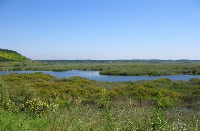 Пленер в Сребърна
