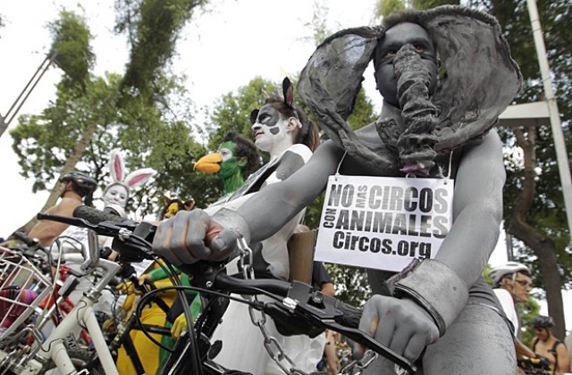 Недоволни екоактивисти се разголиха в Мексико