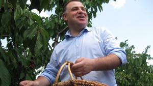 Министър Найденов си напълни кошница череши в Кюстендилско