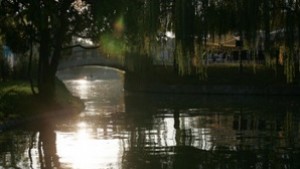 Оформят короните на дървета в Борисовата градина