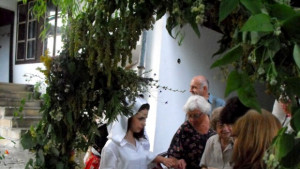 В нощта срещу Еньовден в Разград раздават змейово биле