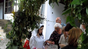 В нощта срещу Еньовден в Разград раздават билка срещу змейова