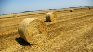 Проверяват земеделската техника преди жътва