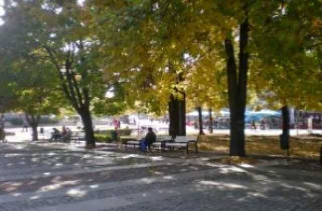 Фейсбук детронира Мис Русе 2010