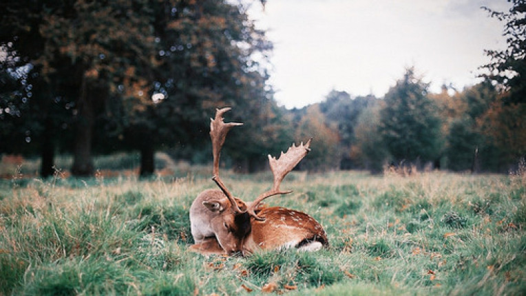  Поверия за Благовещение! 