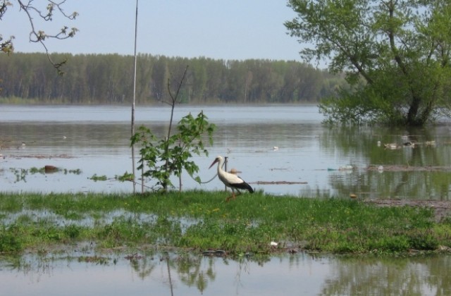 Дунав се укроти