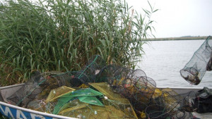 Ловят незаконно раци и риба