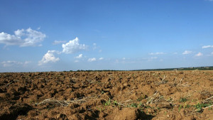 Проблемът не е в закона за земята