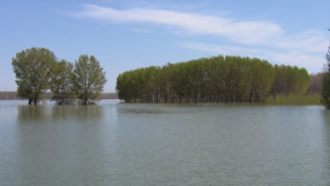 Доставят вода за хората от Долни Цибър