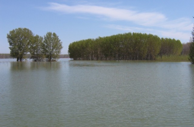 Доставят вода за хората от Долни Цибър