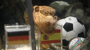 Оракуле кажи ми