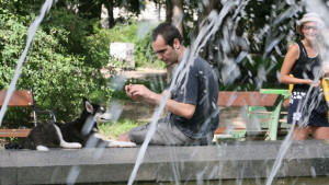 Регистрират кучета отглеждани на открито в Нови Искър