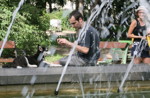 Регистрират кучета, отглеждани на открито в Нови Искър