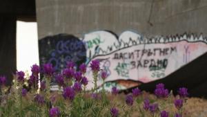 В Приморски започва косене