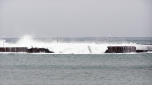 Тяло на удавник изплува във Варненското езеро