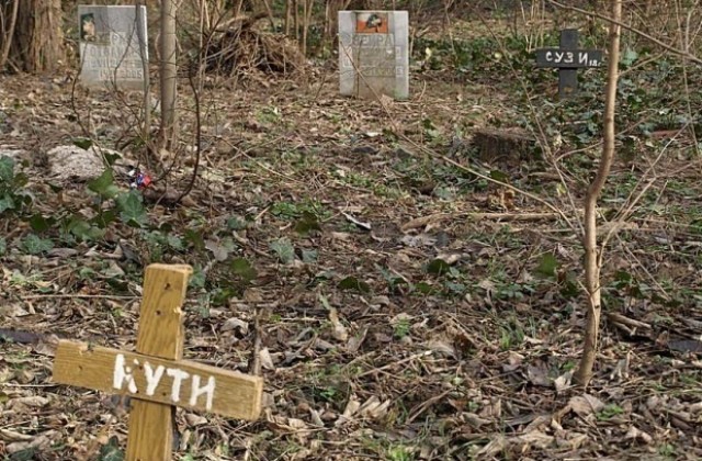 Младеж оскверни 19 гроба в село Дебово