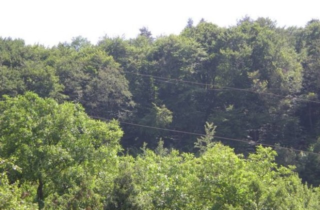 Започна мониторинг на туристопотока в НП Централен Балкан