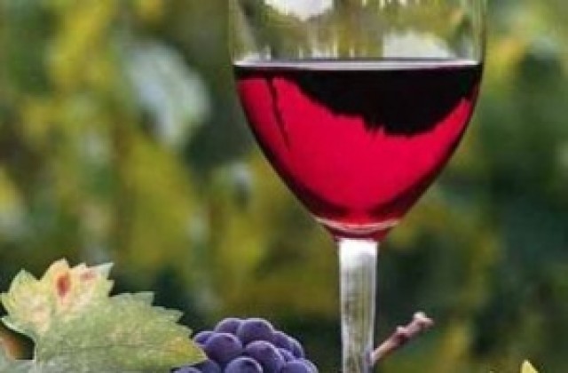 Плевен се обяви срещу закриването на Института по лозарство и винарство
