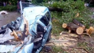 Стабилно е състоянието на мъжа затиснат от дърво