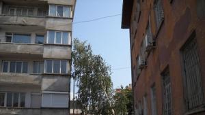 Сигнал за падащо дърво е подаден на тел 112