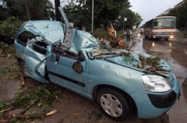 Стабилно е състоянието на мъжа, затиснат от дърво във Варна