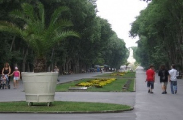 Морската градина води в класацията за символ на Варна