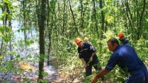 Младежи подпалиха борова гора