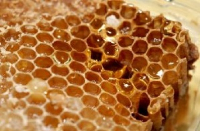 Официален старт на феста на мановия мед в Царево