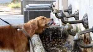 Без вода по ул ПВолов утре