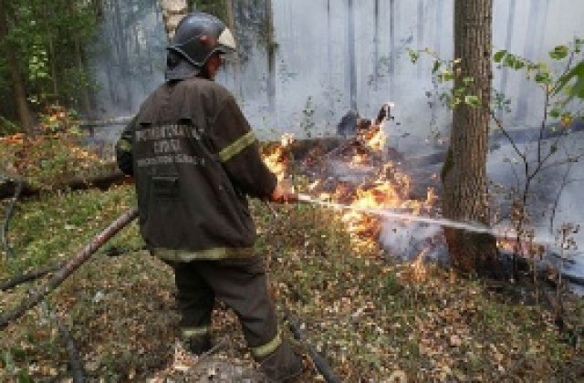 Щетите от пожарите в Русия се оценяват на 15 млрд. долара засега