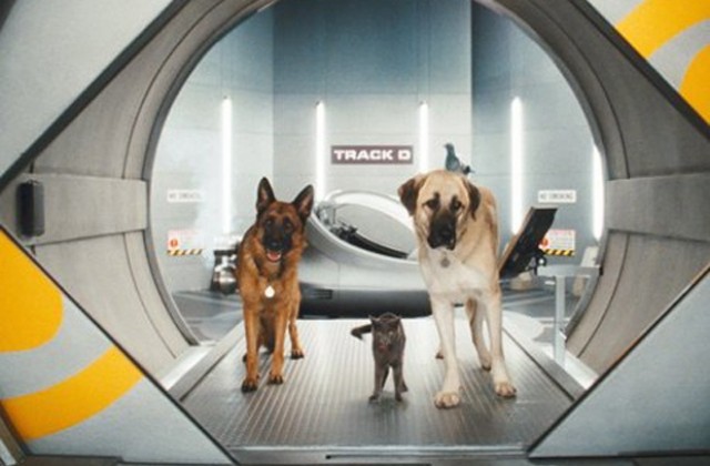Кучета и котки разиграват „Джеймс Бонд” на киноекраните