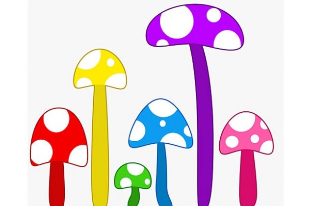 Гъба афродизиак скара Индия с китайски военни