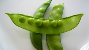 Грах поникна в белия дроб на американец