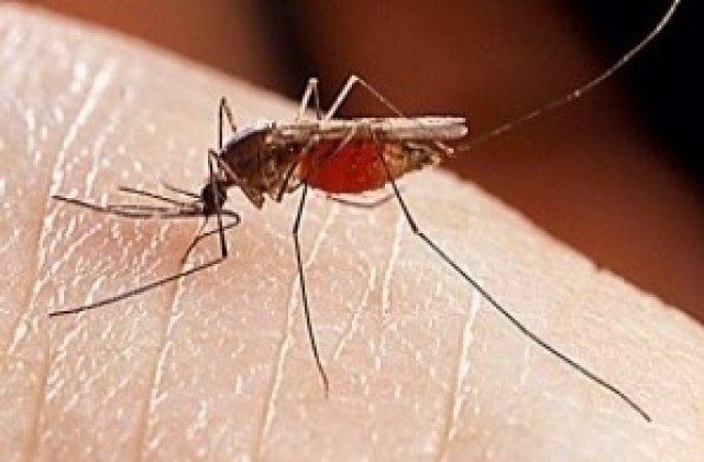 Пръскат срещу комари в Ямбол