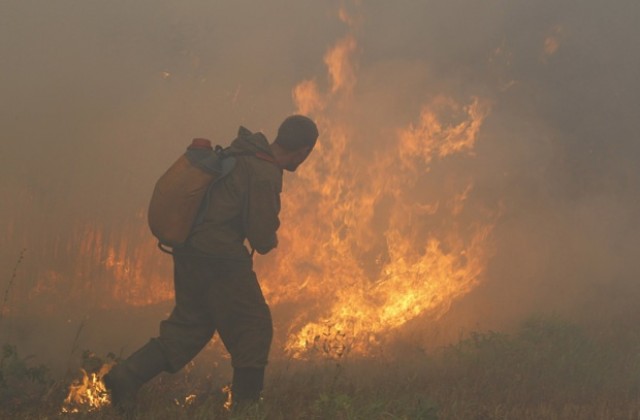 Площта на пожарите в Русия продължава да намалява